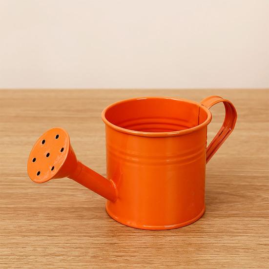 Konev s dlouhou hubicí Kovová zahradní konev Malá konev pro pokojové venkovní rostliny v květináčích Bonsaje Terasa Zahradničení