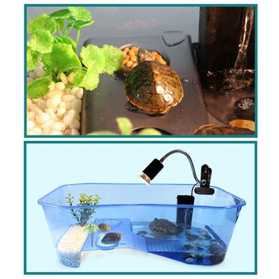 Terrarium-Box für Reptilien, Schildkröten, Schildkröten, mit Sonnenplattform, Aquarium, Zuchtfutter, Schildkröten-Futterbox, Heimaquarium