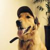 Fashion G-shaped Corduroy Dog Sun Hat Breathable Baseball Hat for Pet Outdoor Travel Use