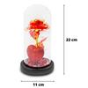 Gift eternal rose in glass shining for her girlfriend wife romantic