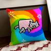 Nyan Cat Cushion Cover Reversible Soft Durable Pillow Cover Home  Car MultiScene Use for Daily Comfort