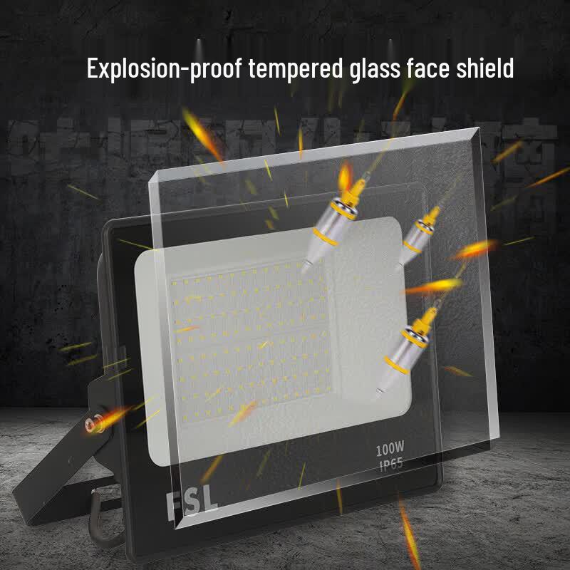 FSL Outdoor High-Power LED Floodlight