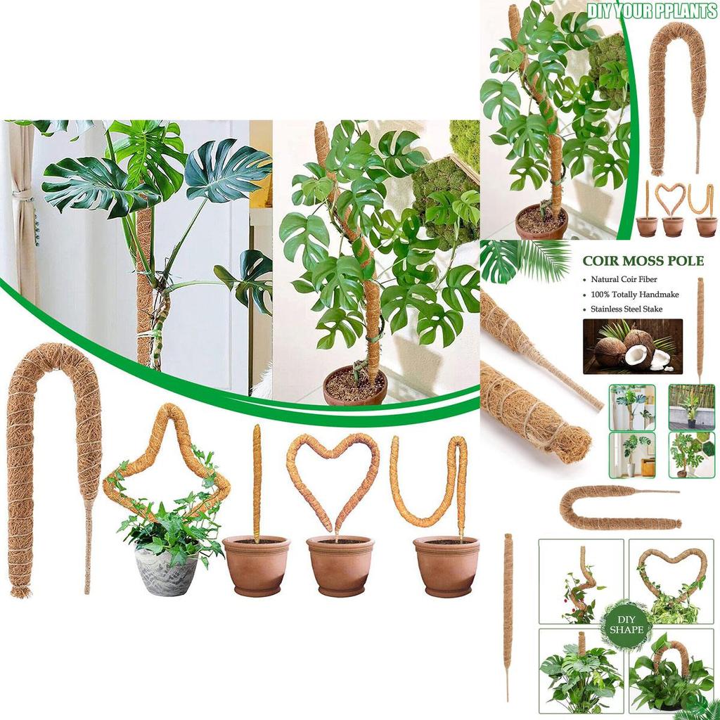 Premium Quality Coconut Shell Plant Climbing Pole 60-120cm Length