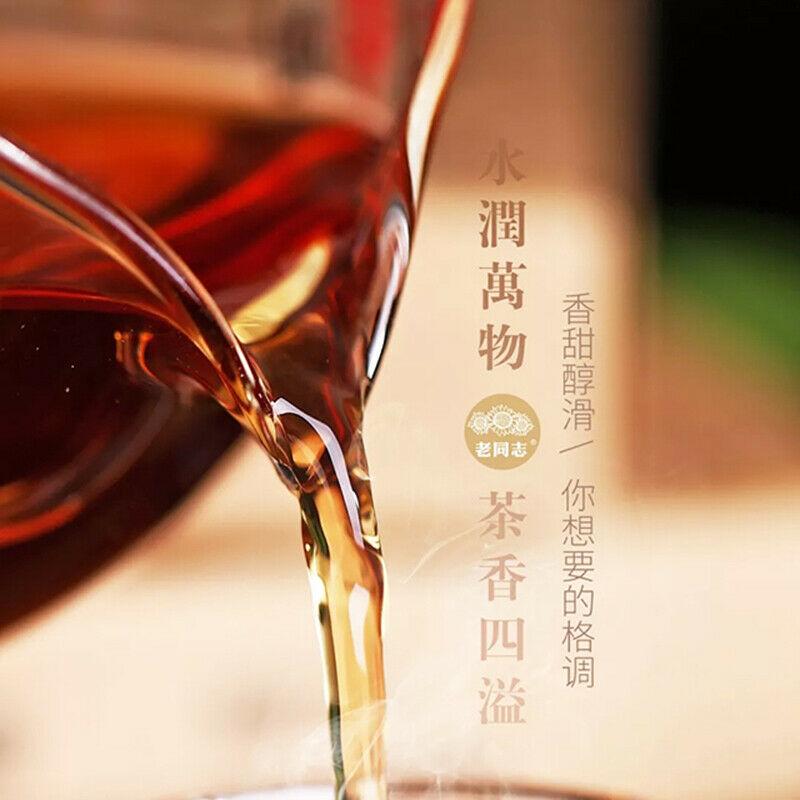 Tè classico Pu-erh in mattoni del 1999 * Haiwan 2019 Vecchio compagno Shu Puer Vecchio albero 250g