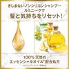 LUX Luminique Shampoo Botanical Pure 1kg Refill Non-Silicone with Baobab Extract Lavender & Lily Scent