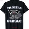 Im Just a Pebble Funny Dandys Minimalist Humor Decoration T Shirt BESTSELLER Vintage Washed Soft Slightly