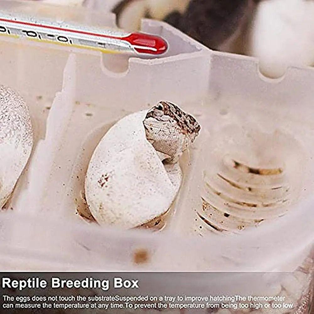 Transparent Reptile Hatch Box 16 Grids Crawler Incubation Case Incubator Supplies