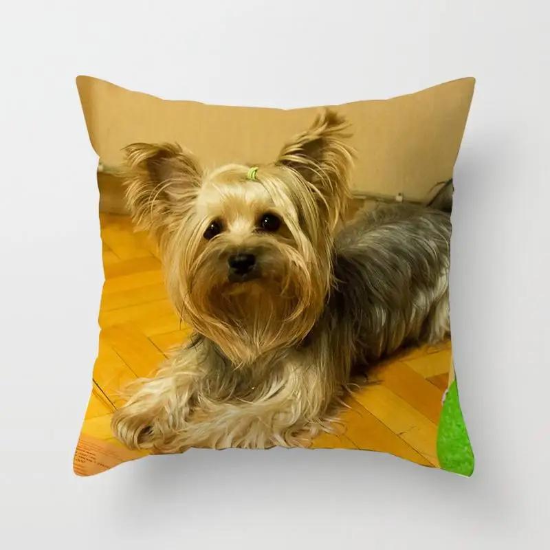 1PC Cute Dog Yorkie BICHON  Yorkshire Decor Print Pillow Case Bedroom Sofa Waist Cushions Cover Car Decoration Cushion