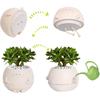 Self Watering Plant Pot 4 Inch Cute Smile Face Planter Pot for Indoor Outdoor Plants with Drainage Hole Unique Flower Pots for