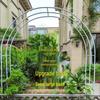 Rust-Proof Arch Trellis: Reinforced Climbing Vine Stand for Indoor/Outdoor Gardens and Courtyards.