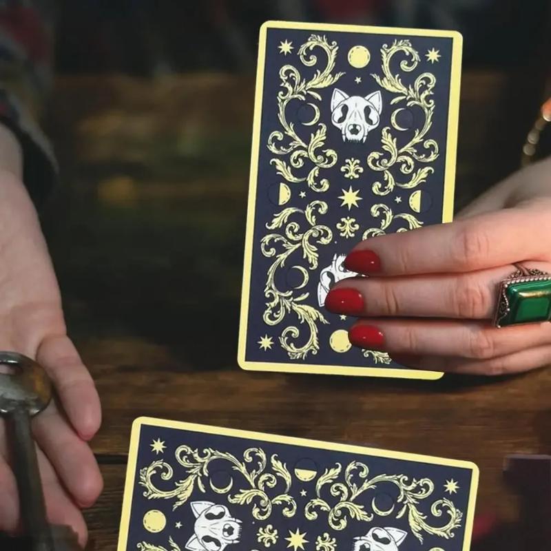 Anglický Tarot Pre Začiatočníkov A78 Oracle Visions Divinačná Edícia Mačky Vládnú Zemi Tarotové Karty Zábavná Hra Párty Darčeky