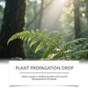 Mother Plant Nutrient Spray Provides Balanced Daily Dietary Nutrition, Is Easy To Absorb, And Is Suitable For Various Types Of Plants In Multiple Scen