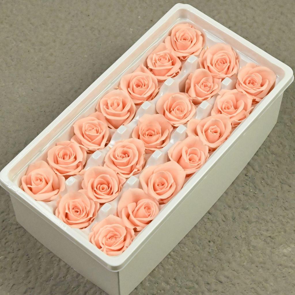 Fantasy Ferris Wheel: 2-3cm Blue Enchantress Immortal Rose for DIY Projects