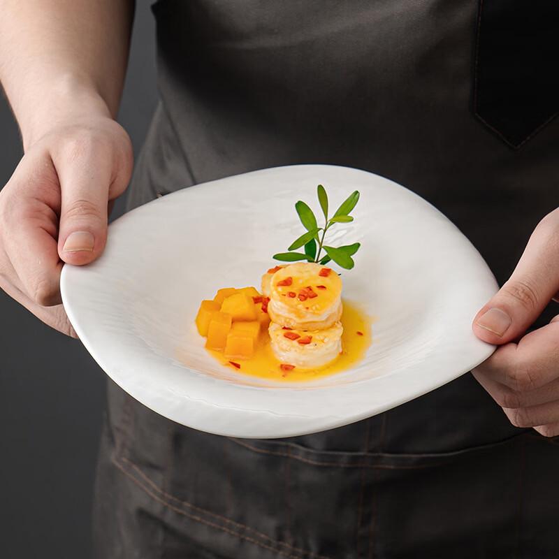 ZISIZ Irregular Shaped Salad Plate