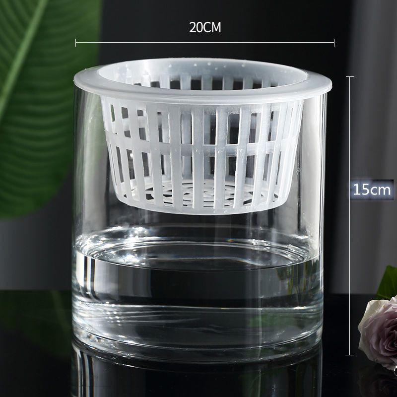 Hydroponic Glass Cylinder Vase for Pothos & Peace Lily - Transparent Water Culture Container with Free Shipping.