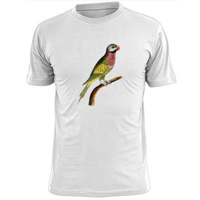 Tops – Camisetas