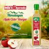 Zandu Himalayan Apple Cider Vinegar 500ml With 2X Mother Raw Unfiltered Unpasteurized Natural Wellness Tonic
