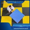 Professionelle hochdichte Taekwondo-, Tanz- und Kampfsport-Trainingsmatte (1 Meter)