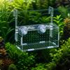 Aquarium Accessory Transparent Separation Box with Suction Cups Compact