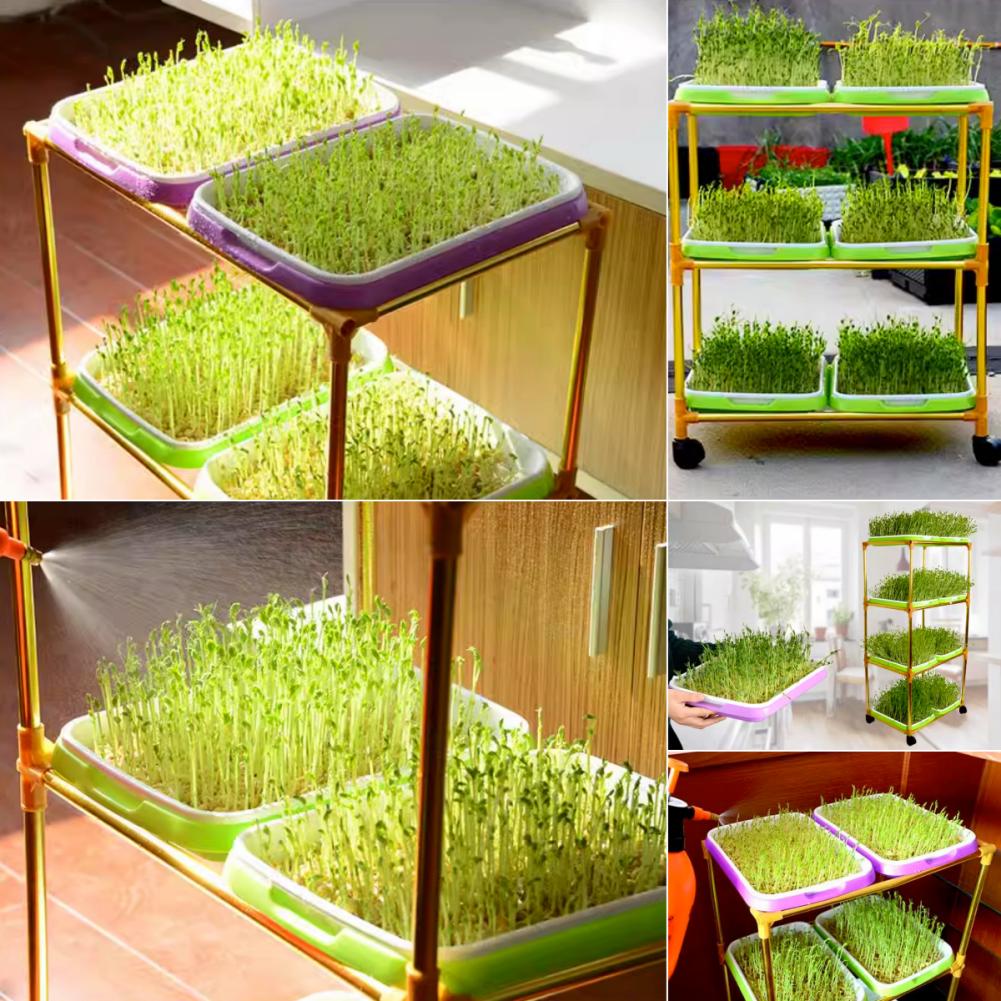 Double Layer Seedling Tray Plastic Seed Starter Sprout Vegetable Seedling Container Soilless Cultivation Gardening Planting Tool