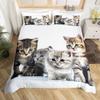 3D Cute Kitten Pattern Bedding Set, Adorable Cat Print Duvet Cover and Pillowcases, Suitable for Single/double/king/king Beds.