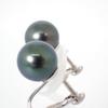 [Used] 14K White Gold South Sea Black Pearl Earrings / J55-46