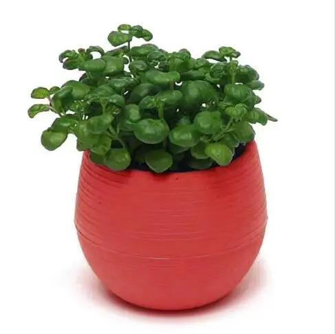 1PC Creative Eco-friendly Colourful Mini Round Plastic Plant Flower Pot Garden Home Office Decor Planter Outdoor Garden Supplies