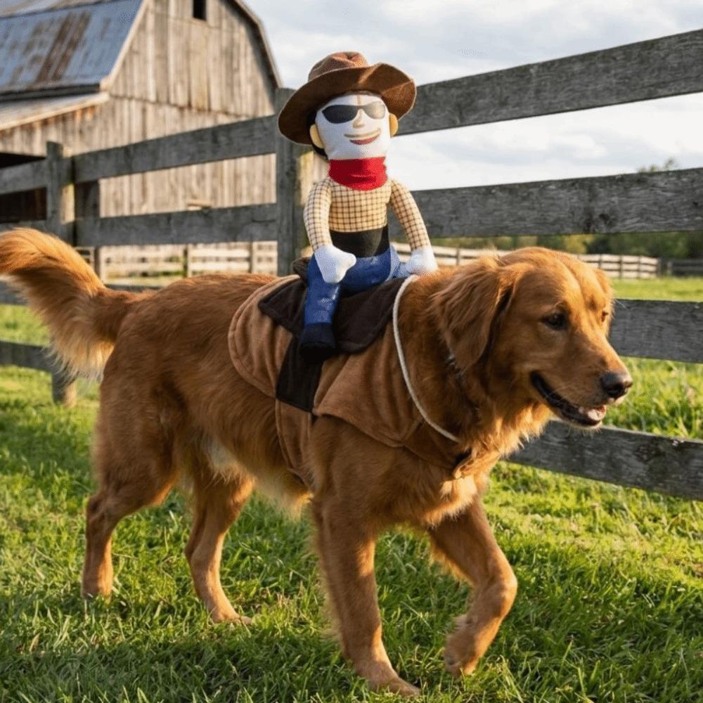 Novelty Dog Cosplay Costumes Adjustable Halloween Dog Clothes Dog Riding Denim Clothing  Gift