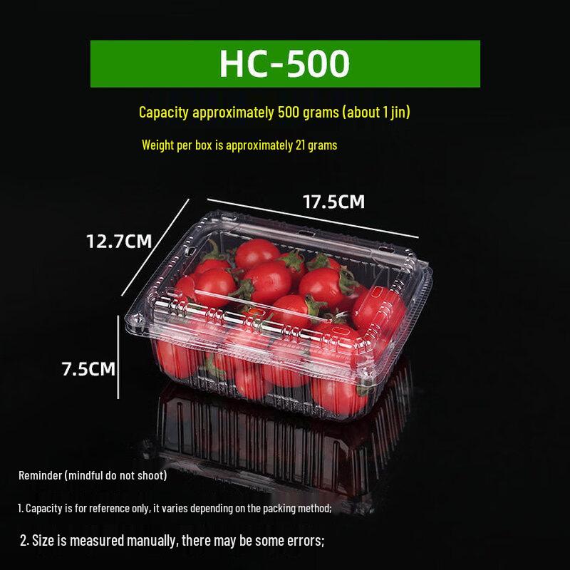 Disposable Transparent Food Container