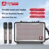 Malone GT-001 Portable Karaoke Amplifier Speaker CN plug (adapter included)