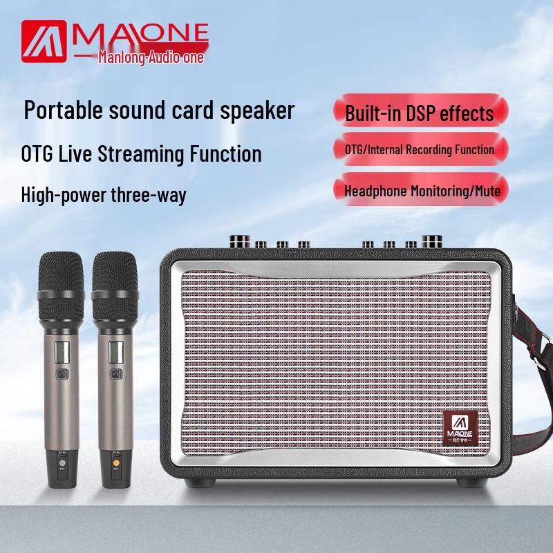 Malone GT-001 Portable Karaoke Amplifier Speaker CN plug (adapter included)