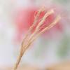 Natural Fiber Rope Soft Wrapping Cord Twine Rope For Creative Sewing Project Gardening Home Decoration And Packaging