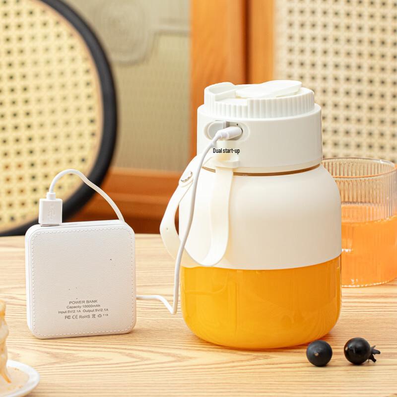 LISM Portable Mini Juicer Bottle