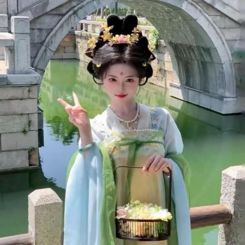 Tang Dynasty Style Hanfu Set Women Embroidered Qi Xiong Ruqun With Wide Sleeves Flowy Outfit