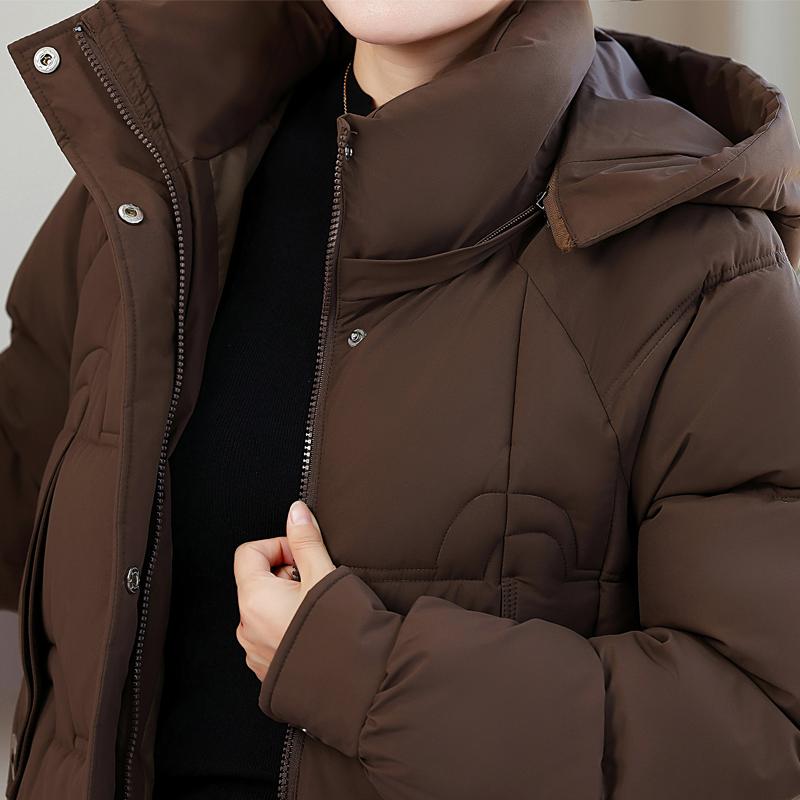 Parka Lungă pentru Femei Plus Size, Jachete Calde de Iarnă, cu Glugă, Elegantă, Largă, Groasă, Îmbrăcăminte Exterioară, Palton pentru Femei de Vârstă Mijlocie