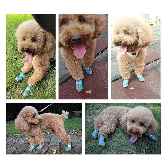 4Pcs Pet Shoes Lightweight Wear-resistant Breathable Fashion Dogs Mesh Sneakers Pet Supplies