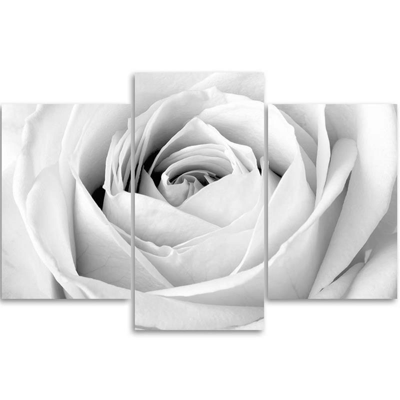 Three piece picture canvas print White Rose Flowers
