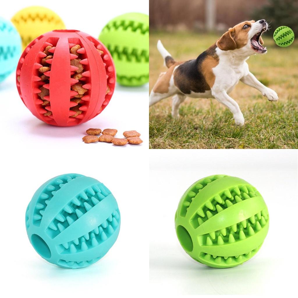 Non-toxic Rubber Pet Ball For Iq Training And Chew Resistant Playtime