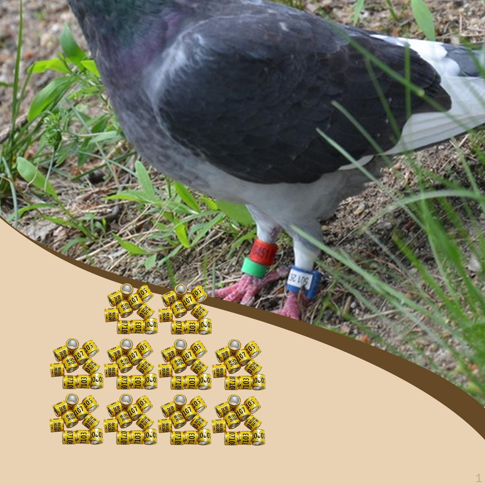 

100 Pieces Pigeon Leg Rings Dove Poultry Supplies Reusable Identifying Bands Tags for жёлтый