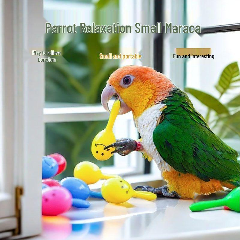 Papageien Kauspielzeug: Sandrassel für Nymphensittich, Sittich, Halsbandsittich - Lindert Langeweile, Selbstbeschäftigung, Pädagogisch