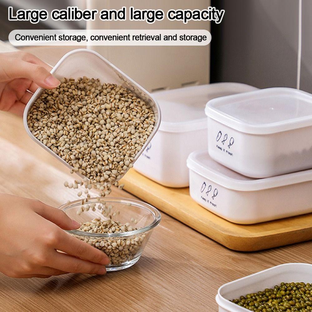 Moisture-proof Dried Fruit Box Sealed Jar Large Capacity Fridge Organizer Useful Food Storage Box