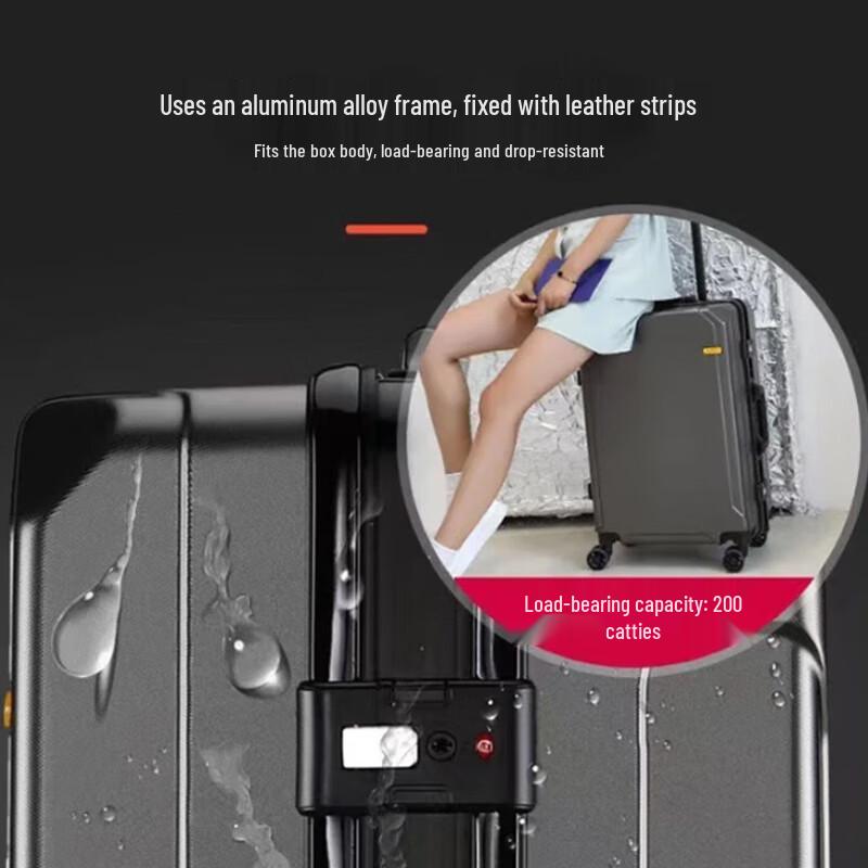 Shangpin Shuangrui 24-inch Hardside Spinner Luggage