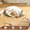 Silent Cat Teaser Toy Set