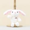 Rainbow Eared Long Rabbit Keyring Soft Stuffed Toy For Kids And Teens Cotton Pp