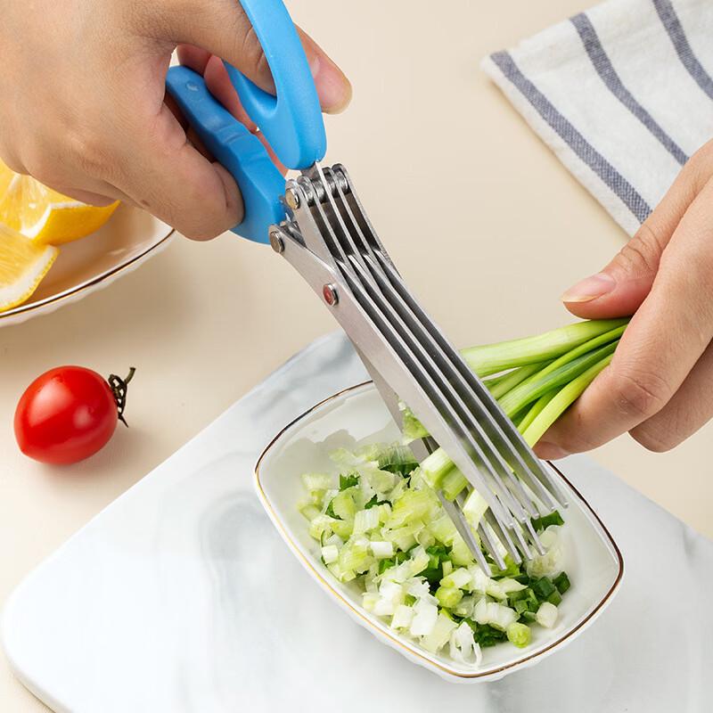 Zhishi 5-Klingen Edelstahl Kräuterschere