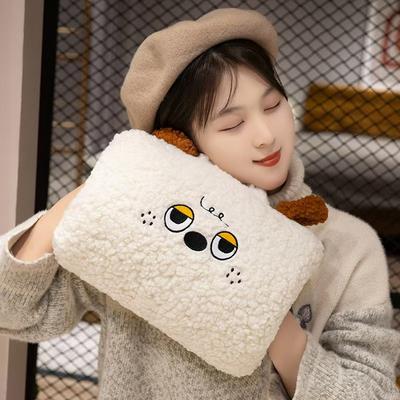 Winter Hand Warmer Throw Pillow Can Be Inserted To Cover the Nap Pillow, Student Office Sleeping Pillow, Hand Warmer To Cover the Graduation Gift