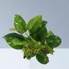 Artificial Driftwood Twigs Branch Aquarium Plastic Plant Fish for Tank Hide Leaves Ornament Non Toxic Safe for All Fish