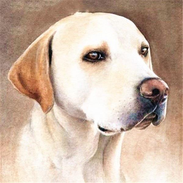 5d Diamond Painting Butterfly Full Round Drill Diamond Mosaic Animal Cross Stitch