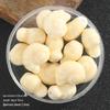 Colorful Ceramic Conch Shell Beads: Loose Snail Beads for Handmade DIY Jewelry and Accessories