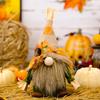 Gnomi Autunnali Decorazioni per la Casa Gnomo del Ringraziamento Tiene Acero Zucca Raccolta Regalo Vassoio Stanco Tavolo Decorazione Interna